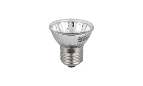 25W Halogen Heat Lamp