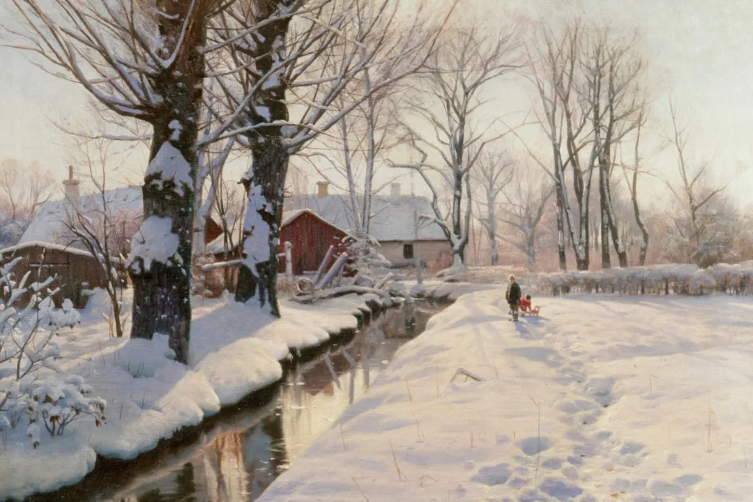 A WOODED WINTER LANDSCAPE