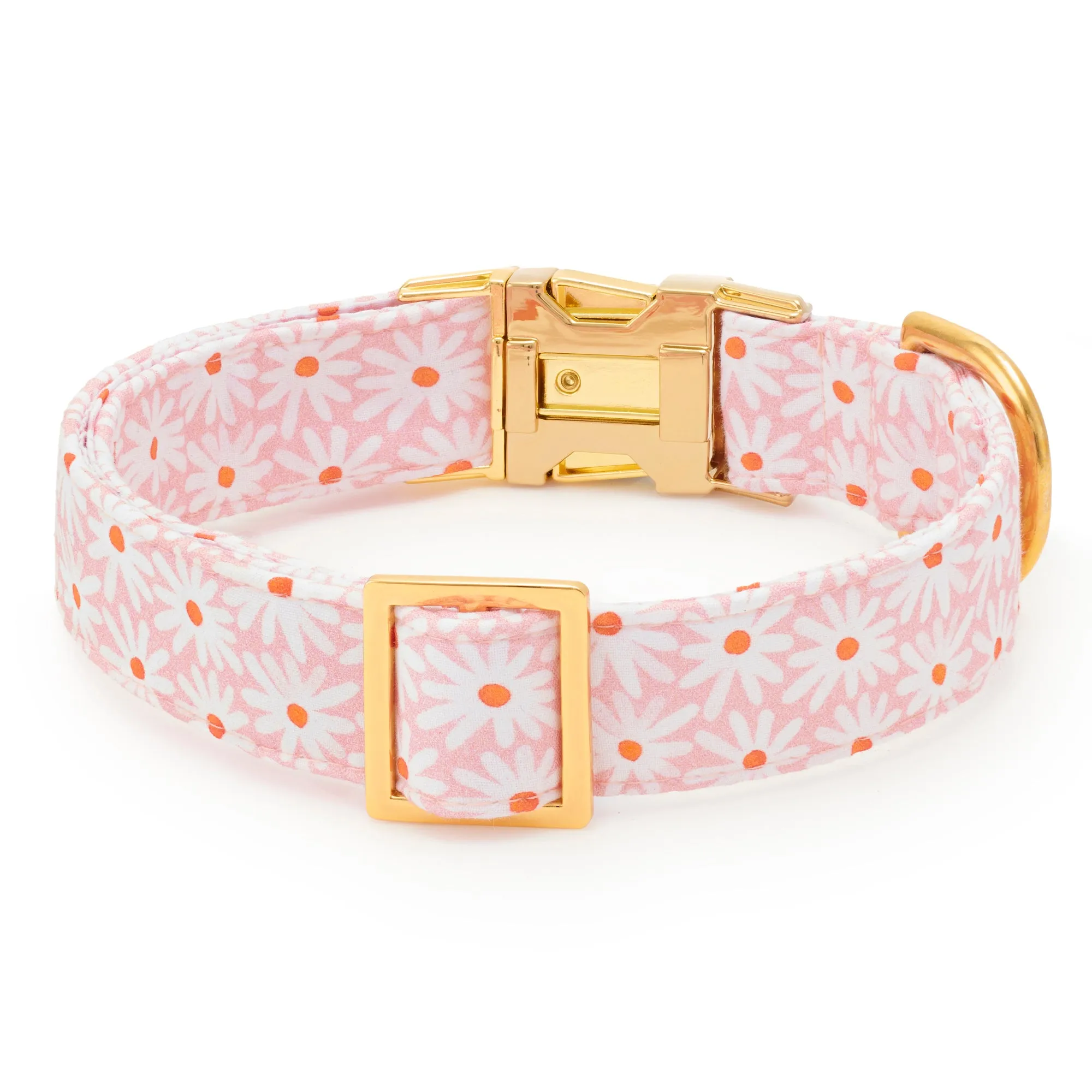 Fresh as a Daisy Dog Collar