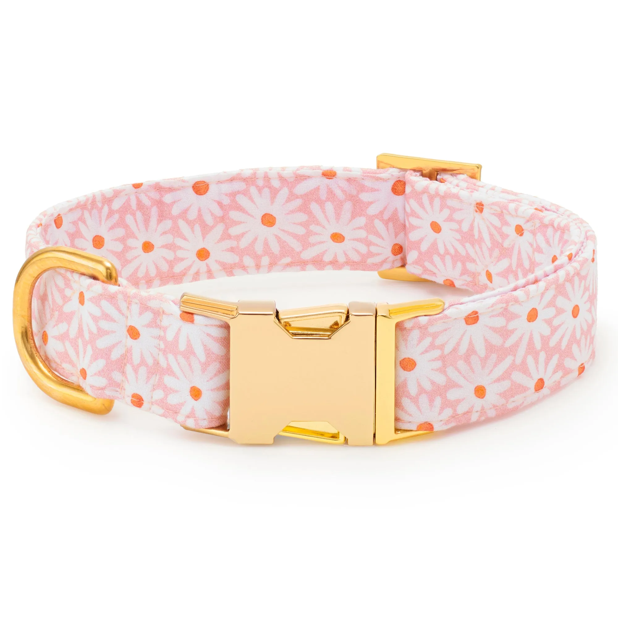 Fresh as a Daisy Dog Collar