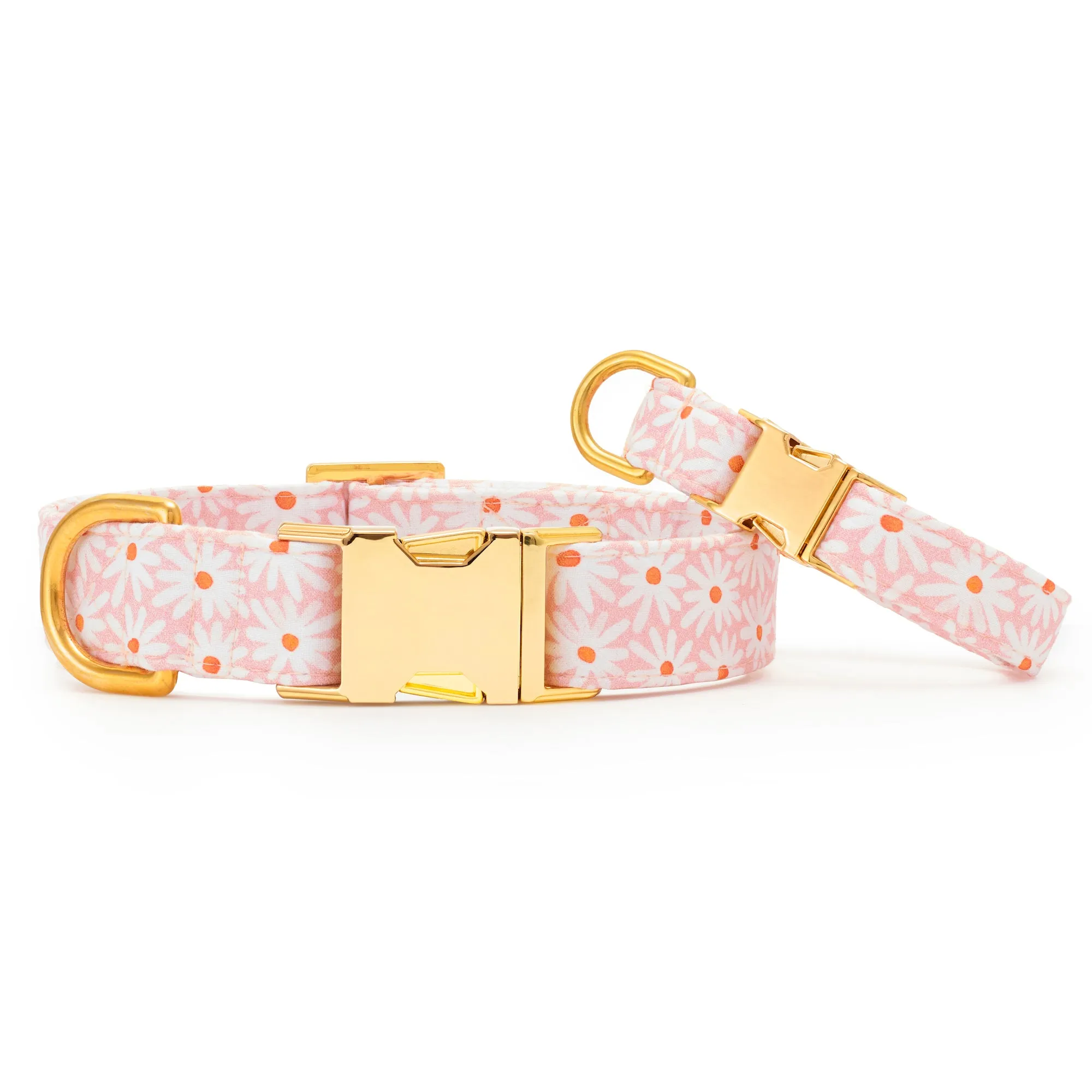 Fresh as a Daisy Dog Collar