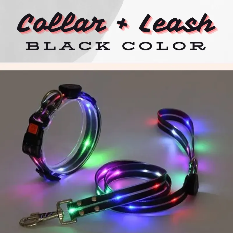 Glowing Pet Leash