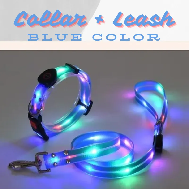 Glowing Pet Leash