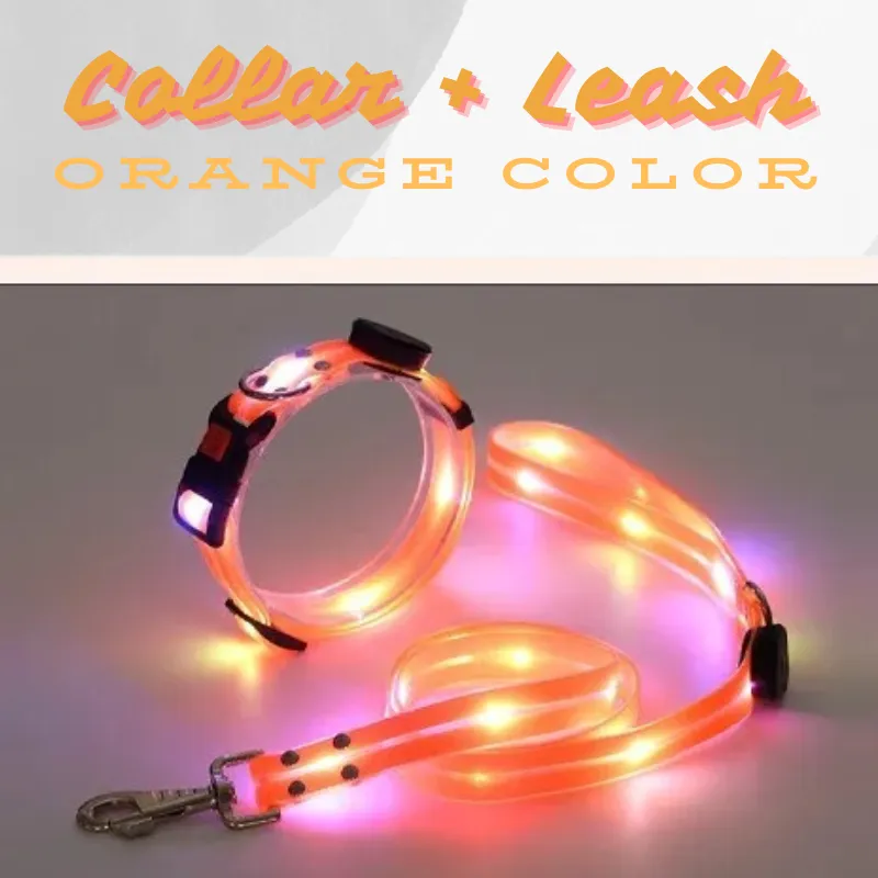 Glowing Pet Leash