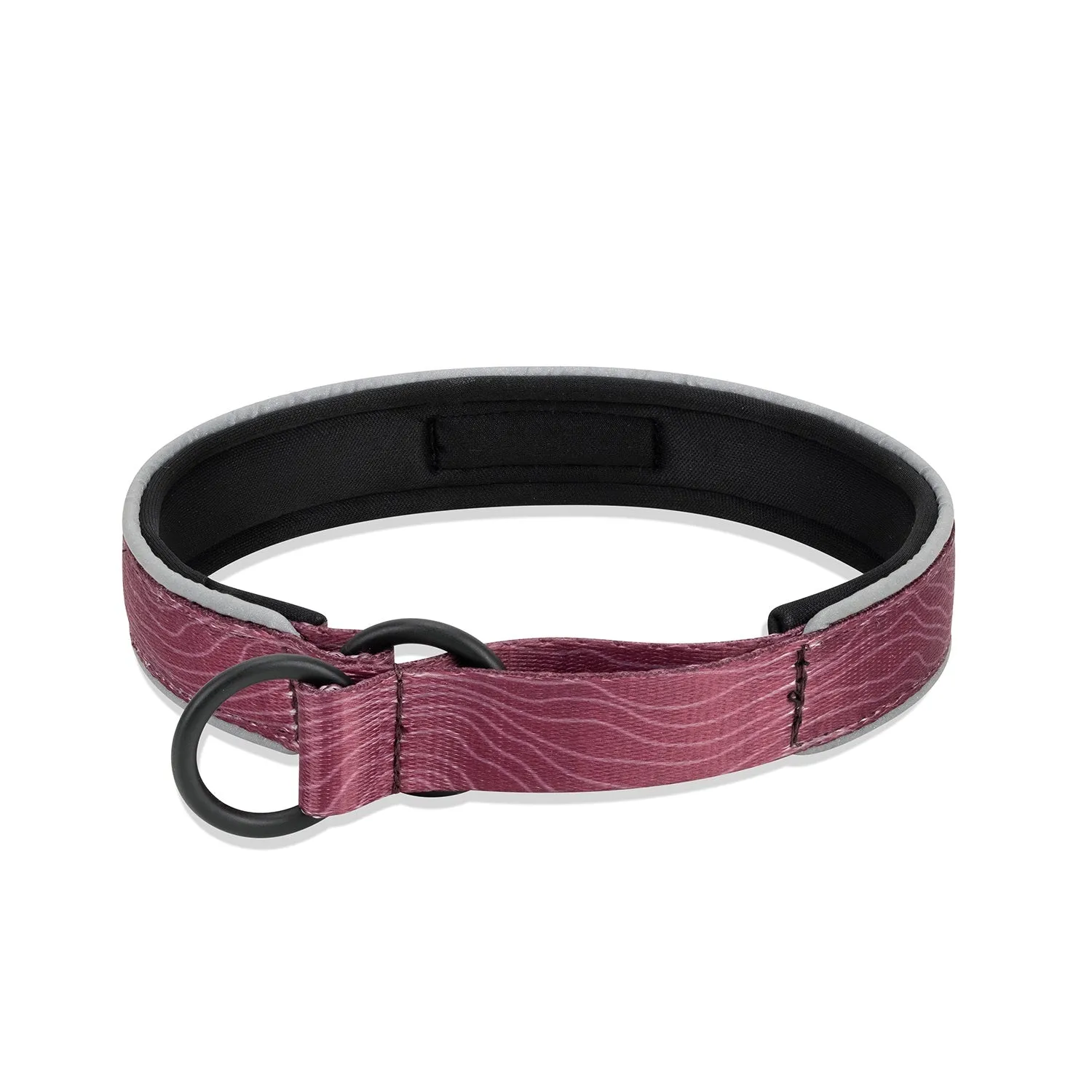 Martingale Reflective Comfort Collar | Comfortable Dog Collar