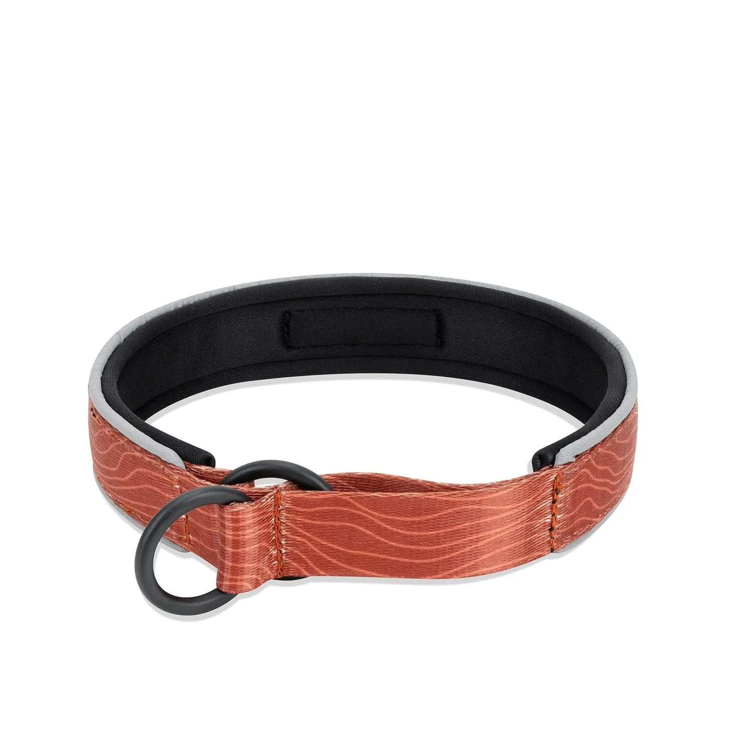 Martingale Reflective Comfort Collar | Comfortable Dog Collar