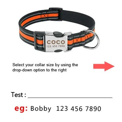 Reflective Personalized Custom Collar