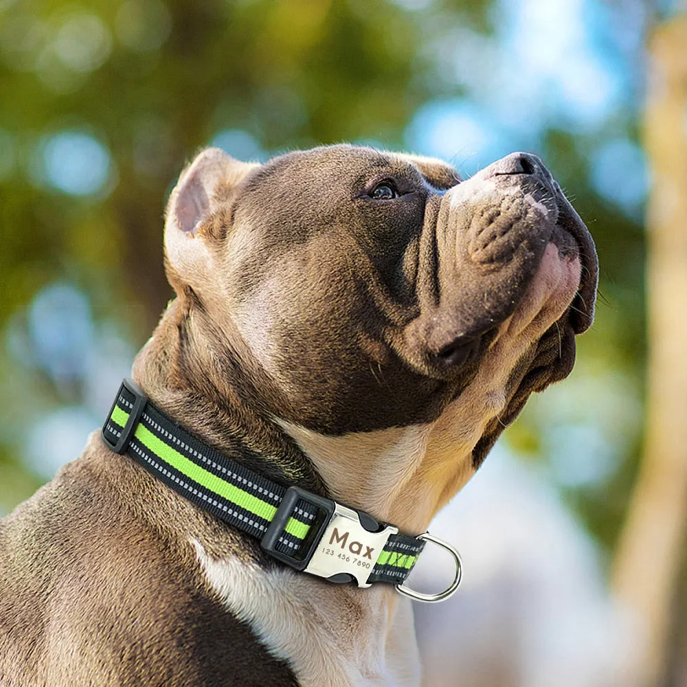 Reflective Personalized Custom Collar