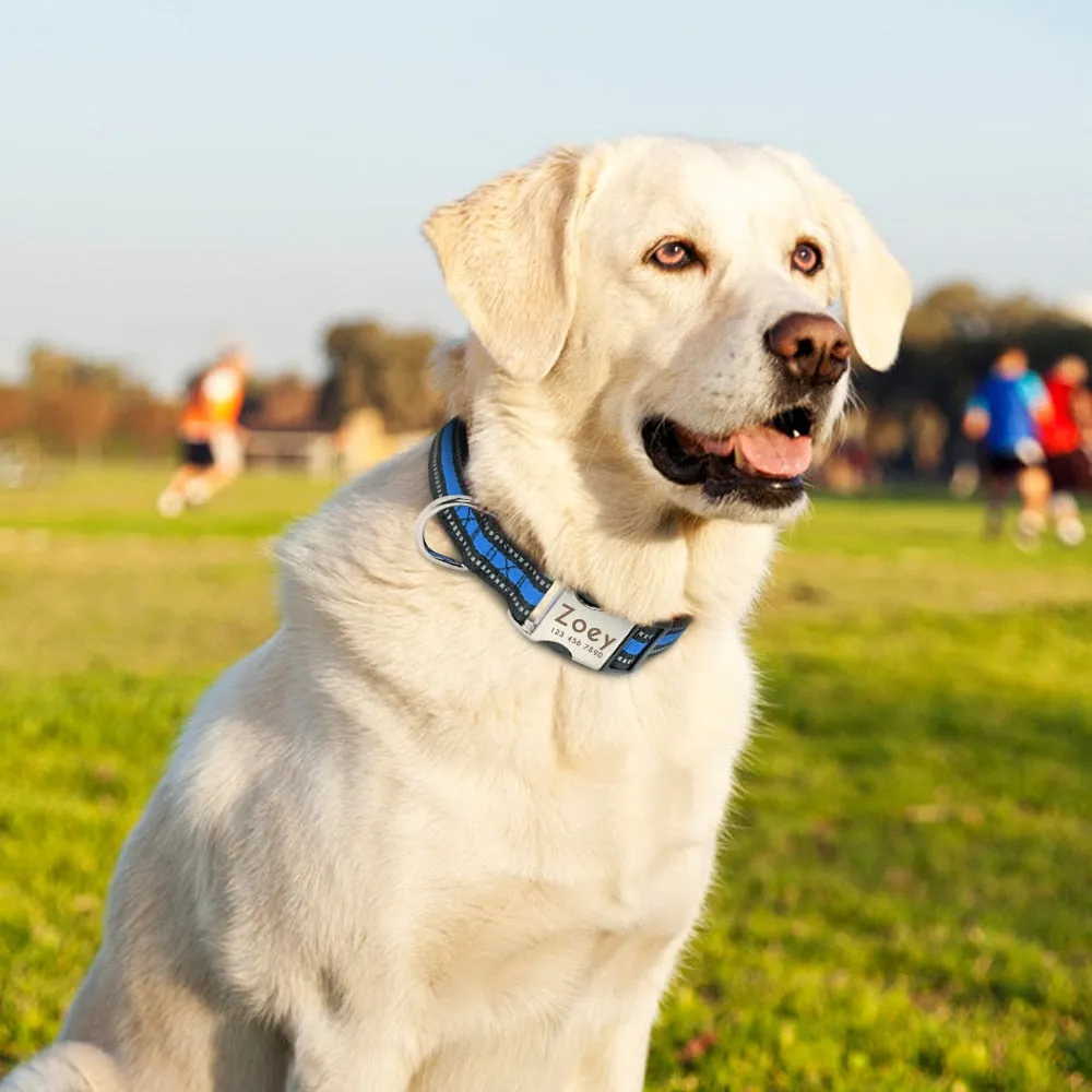 Reflective Personalized Custom Collar