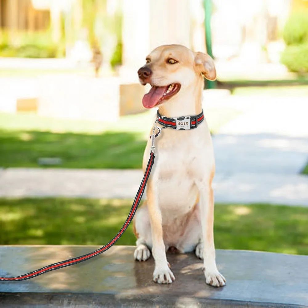 Reflective Personalized Custom Collar