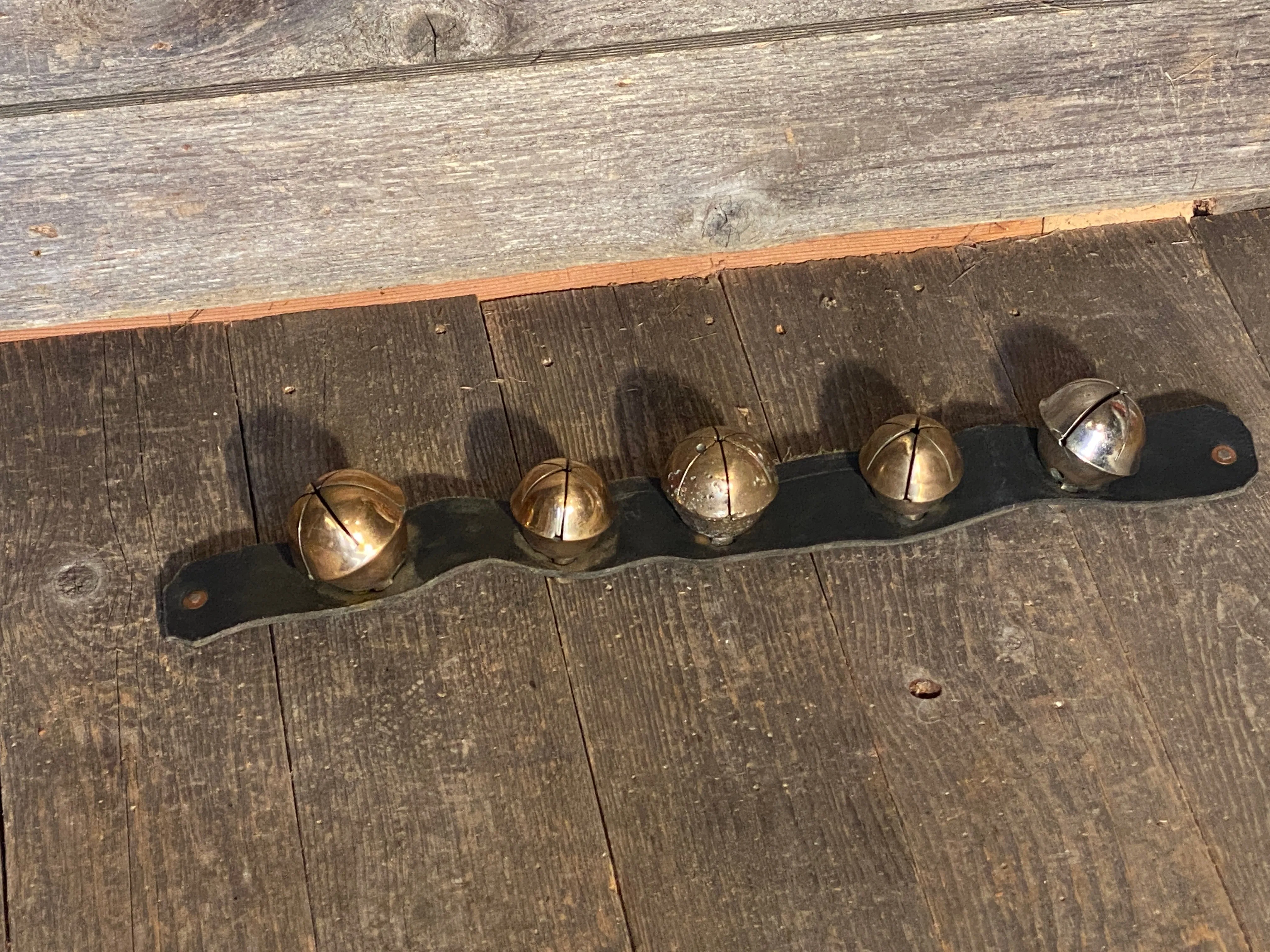 Rump Sleigh Bells on Leather Strap - 23"