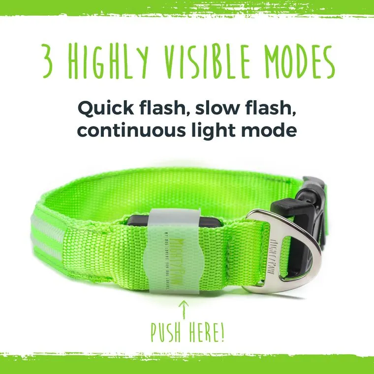 Safety LED Rechargeable Dog Collar