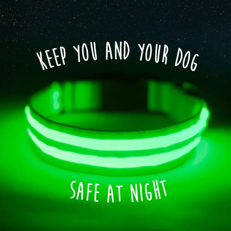 Safety LED Rechargeable Dog Collar