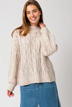 Turtle Neck Cable Knit Sweater