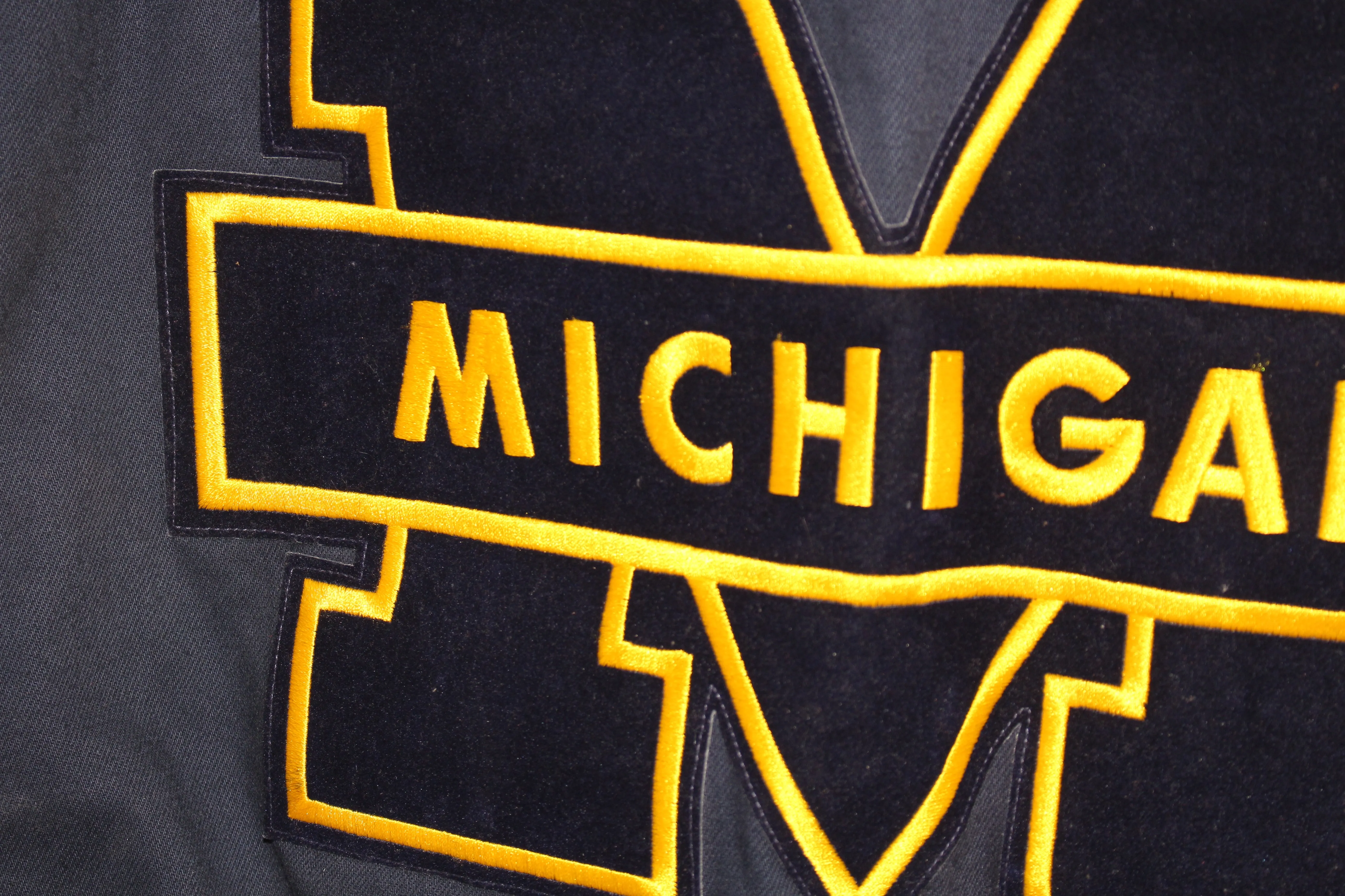 University Of Michigan Jeff Hamilton Leather Jacket (S)