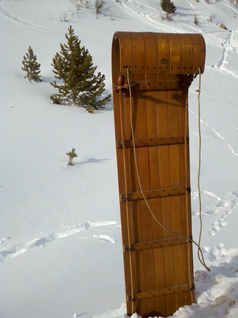 Vintage Paris Mfg Company Toboggan